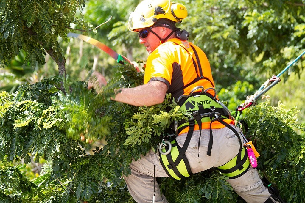 pruning saw