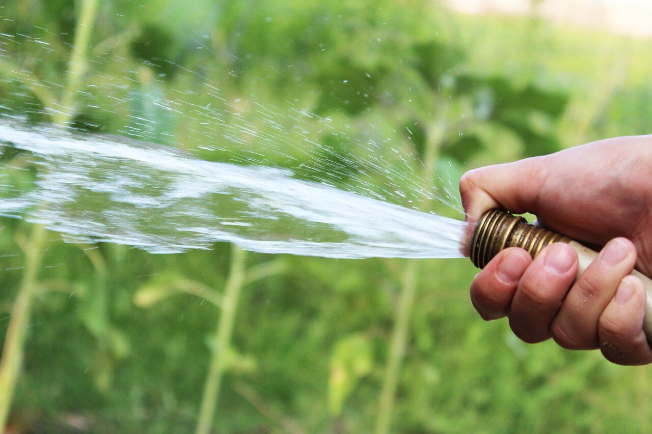 hose being used to water trees