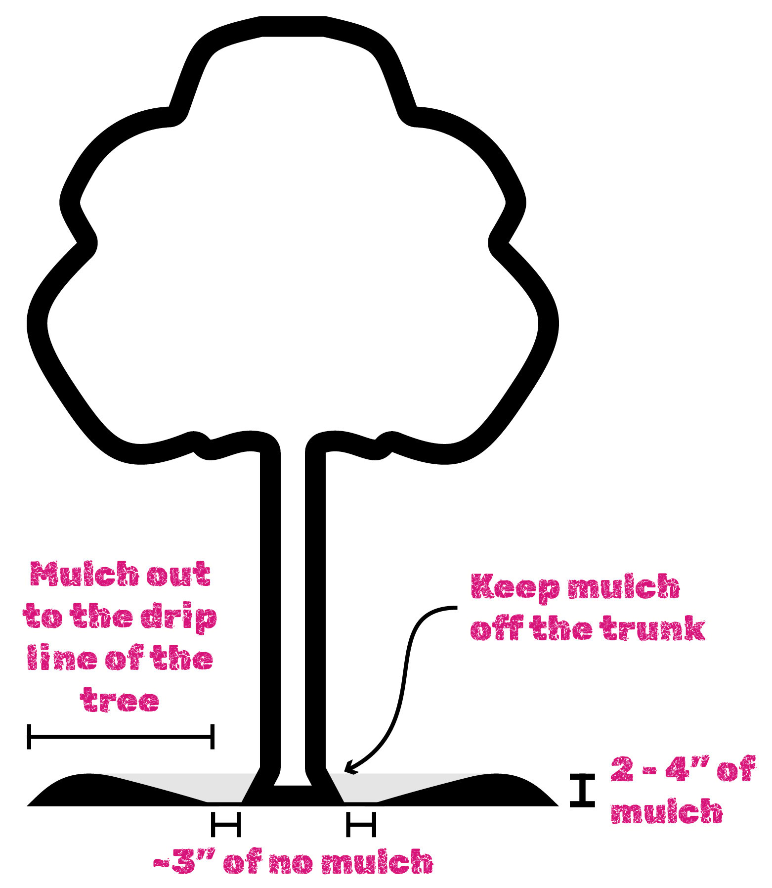 Proper Mulching Diagram