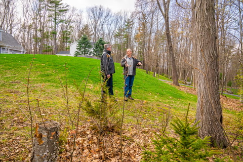 Tree care experts inspecting tree