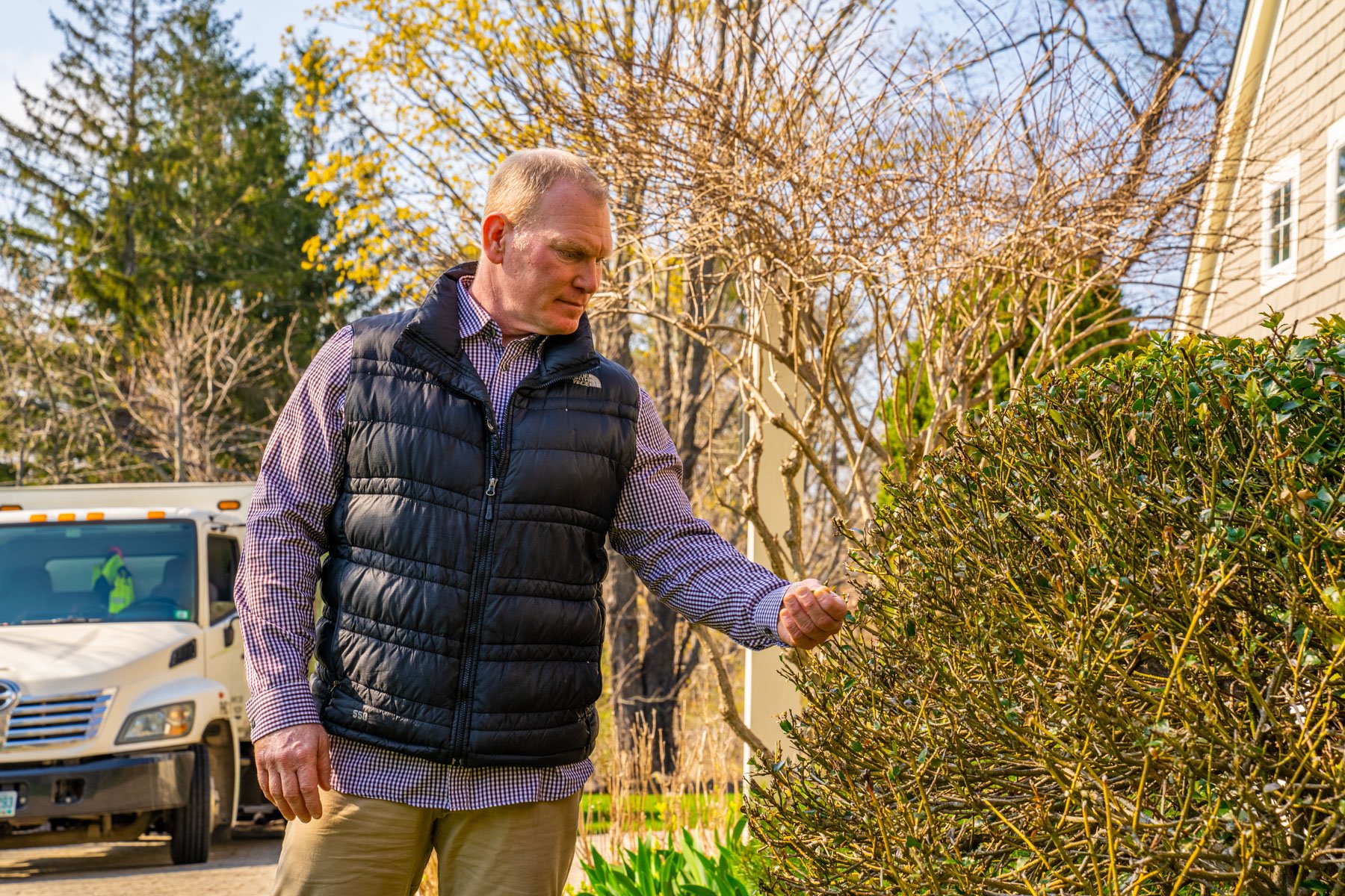 drought can stress trees and cause leaves to prematurely fall