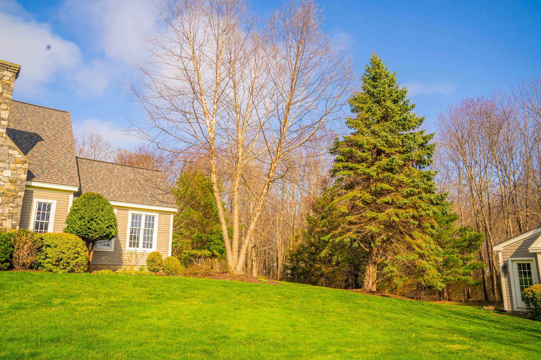 deciduous and evergreen trees go dormant in winter