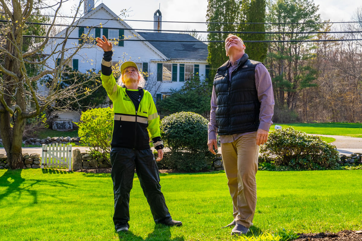 tree care expert points at tree with homeowner