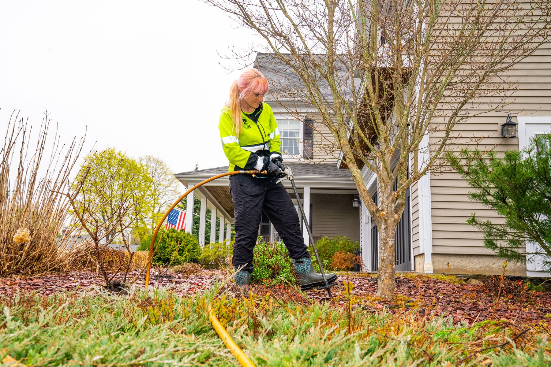 plant health care technician fertilizes tree