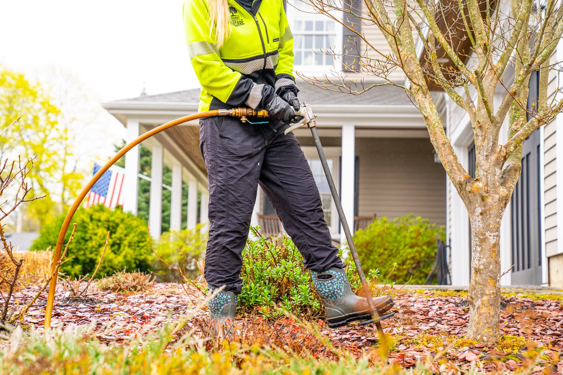 tree care expert performs deep root fertilization