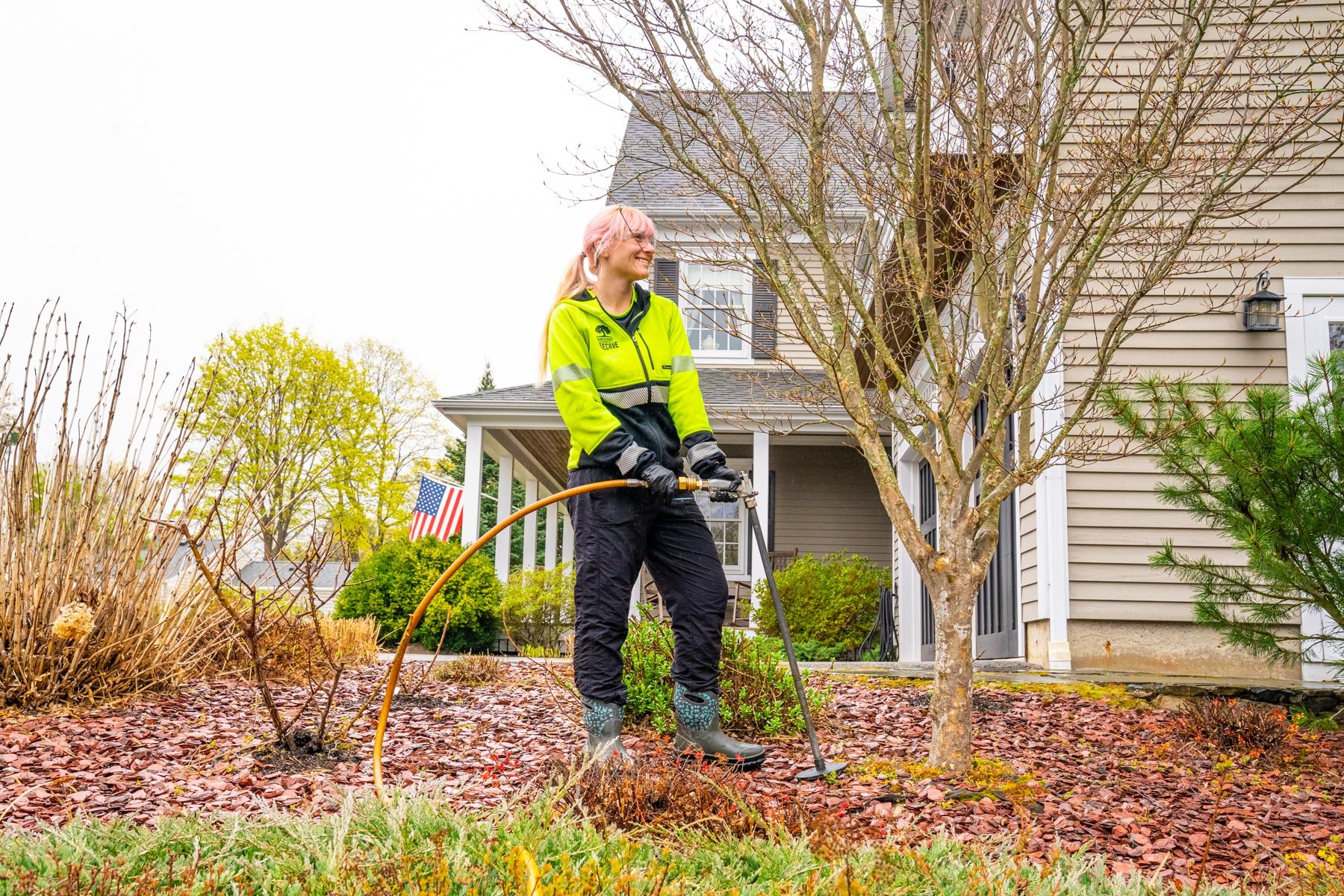 plant health care expert fertilizes tree