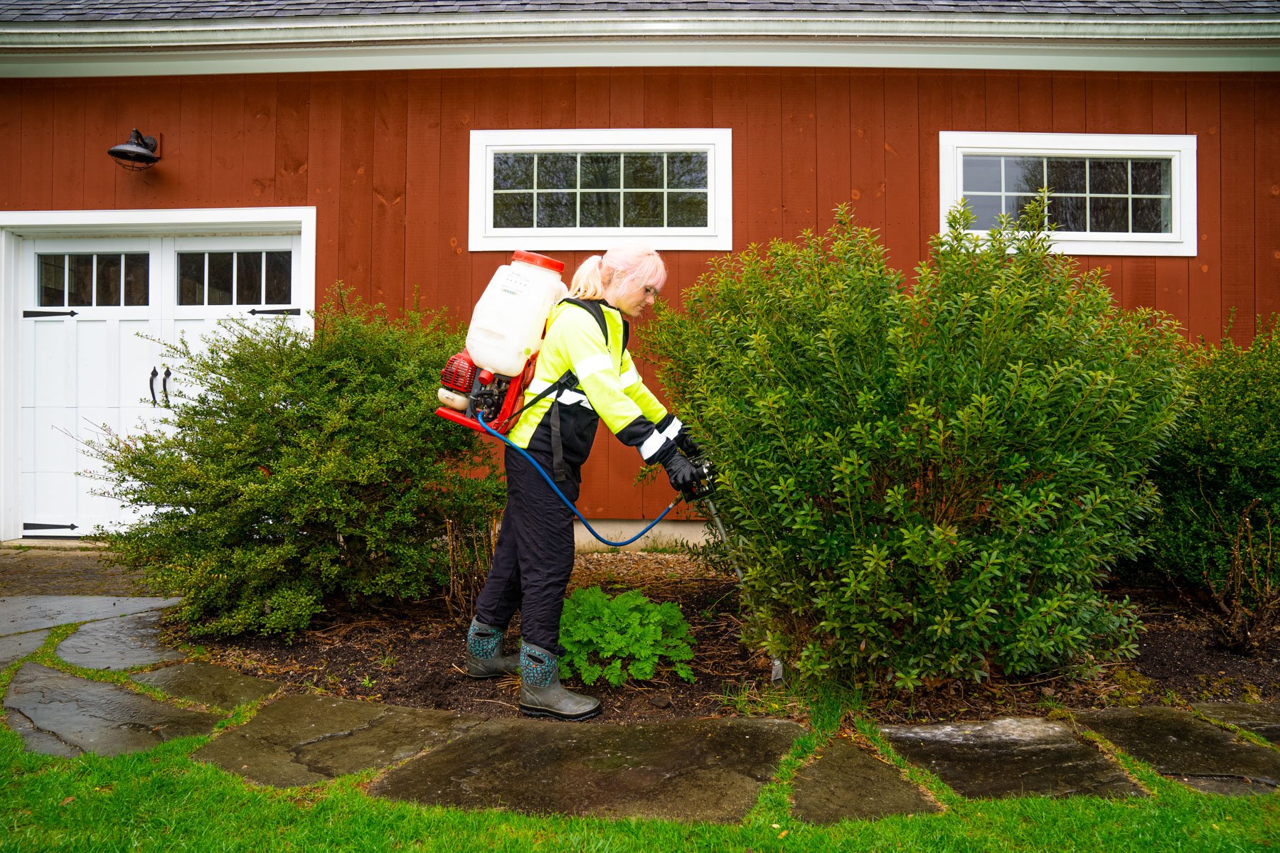 deep root fertilization can be done on shrubs well