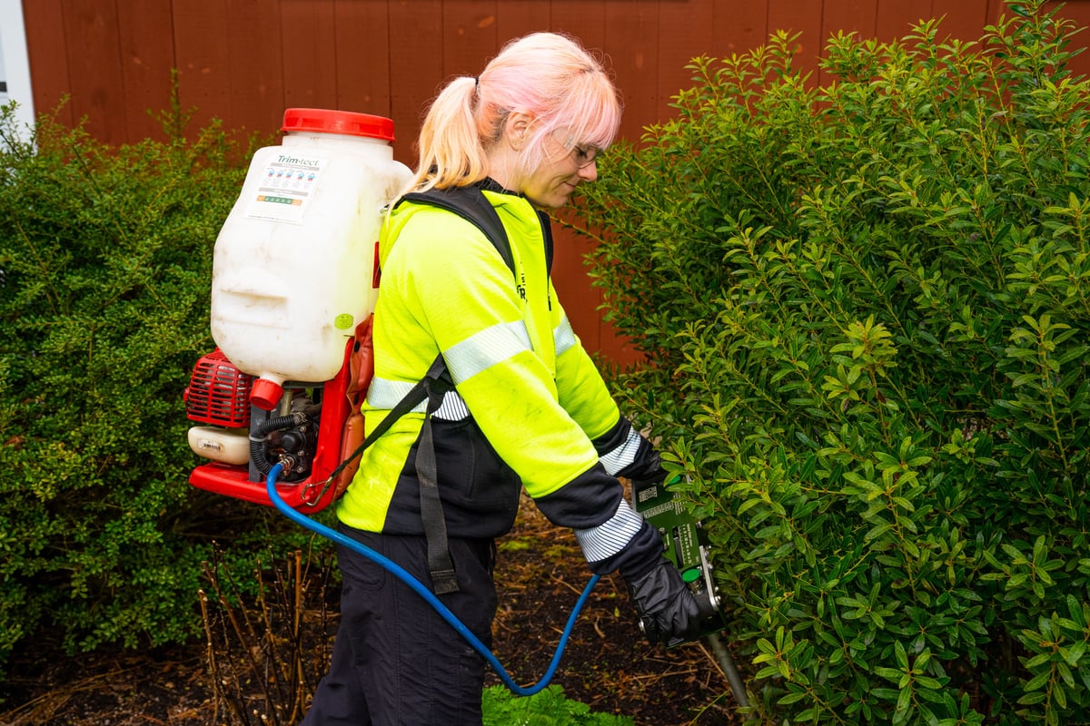 plant health care technician injects fertilizer into soil