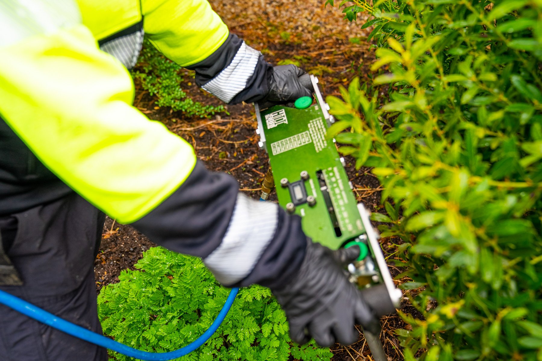 deep root injection equipment is specialized to deliver nutrients directly to the roots