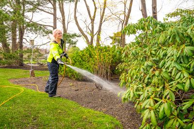 plant health care technician spraying 15