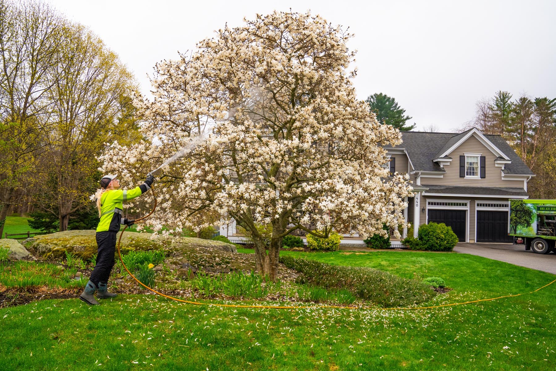 spraying fungicide to treat fire blight