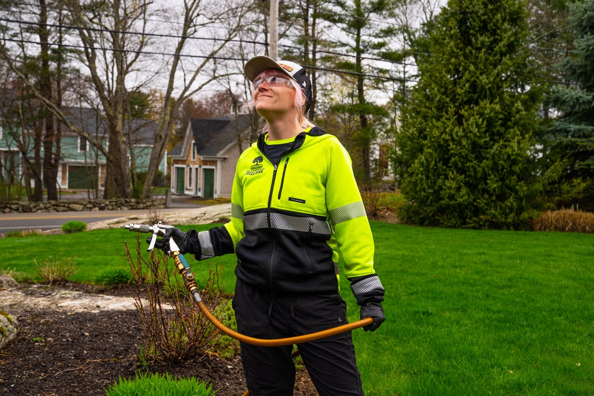 plant health care technician sprays trees