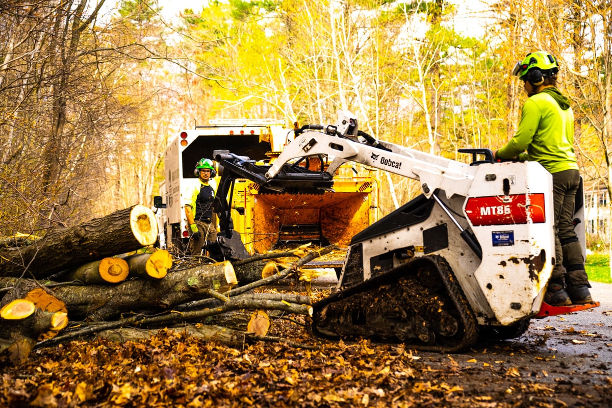 tree removal crew chipper truck and excavator load limbs into chipper