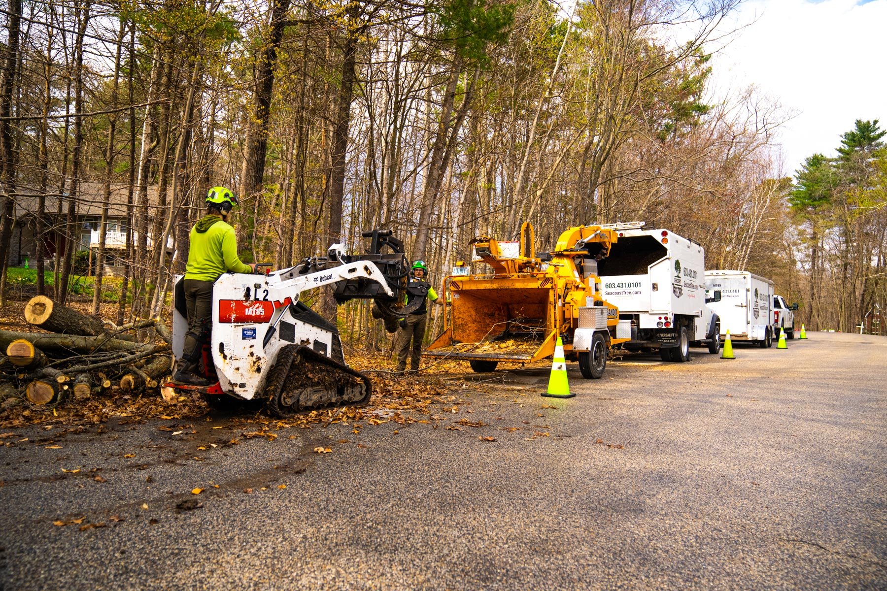 tree removal crews using heavy equipment