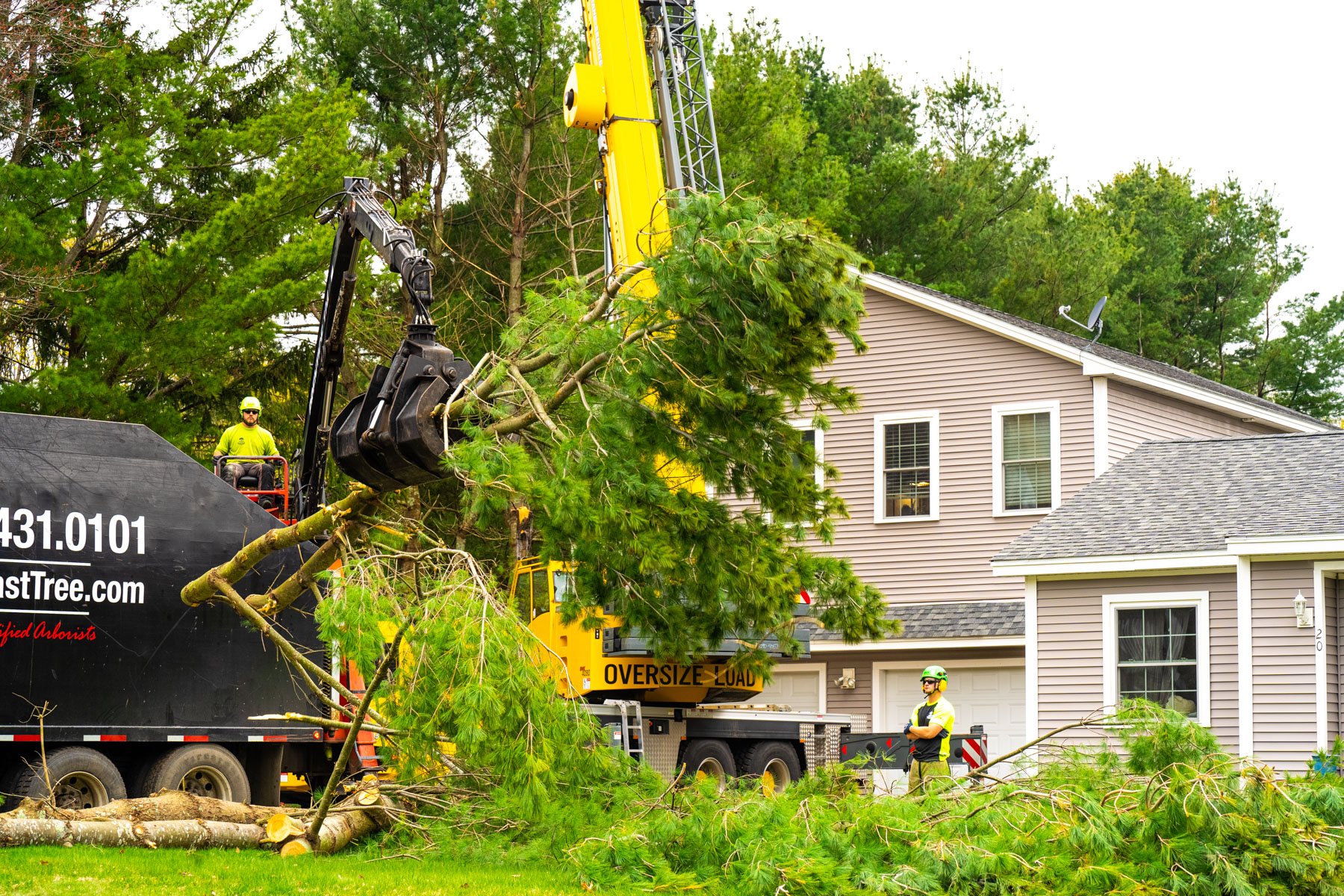 tree removal crew using equipment to remove a tree close to a house