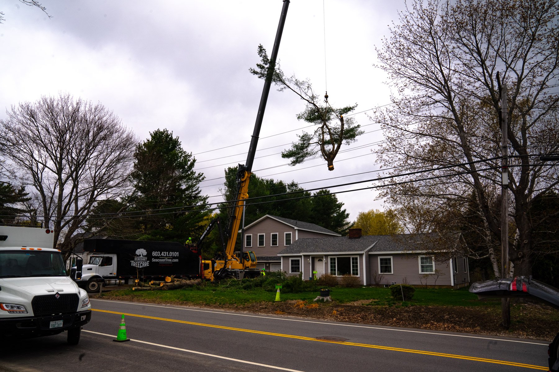 tree removal crew using a crane to lift a tree over a home