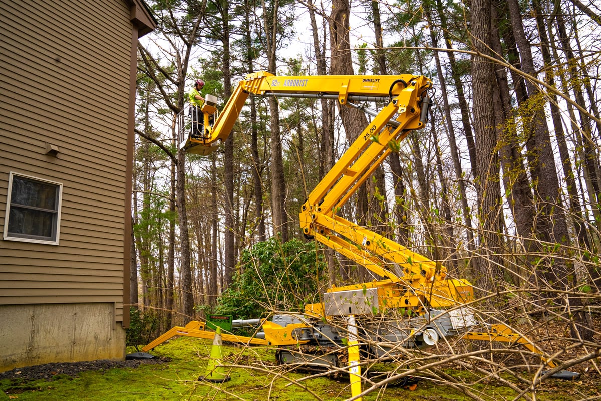 tree service crew in large lift