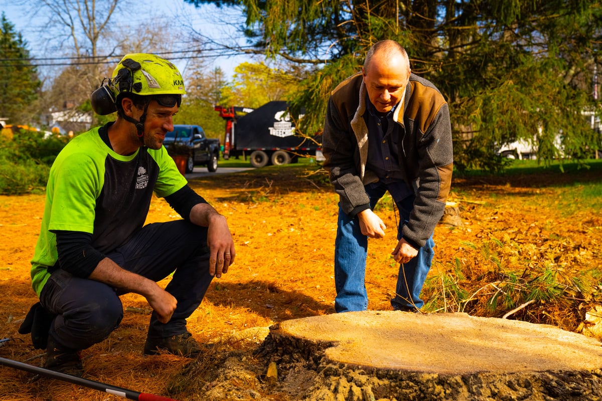 tree removal expert looks at stump with homeowner