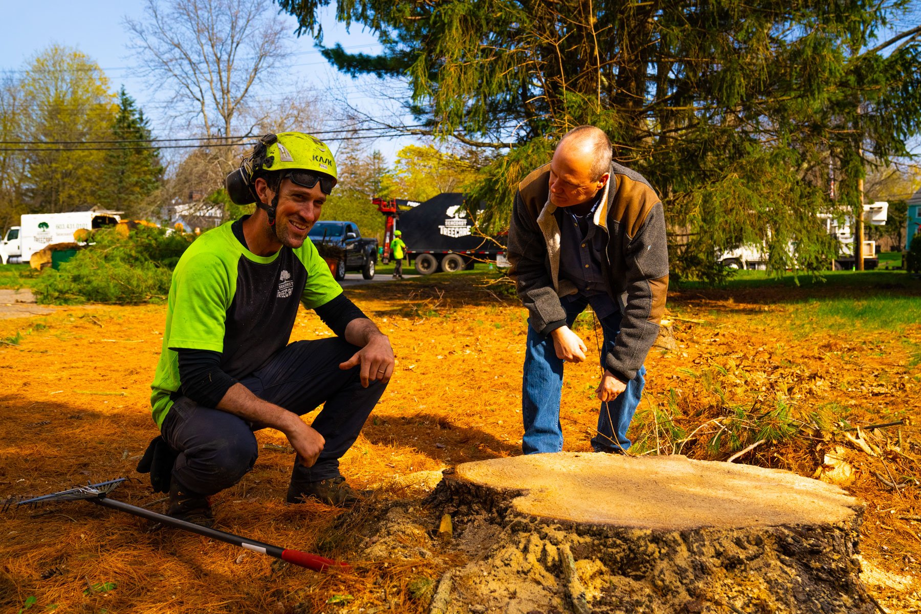 tree service technician inspecting a stump with homeowner