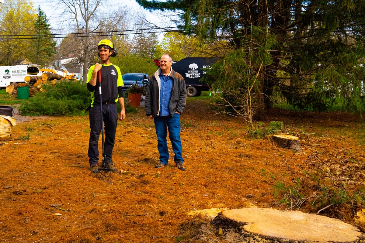 tree removal expert stands in yard with stumps