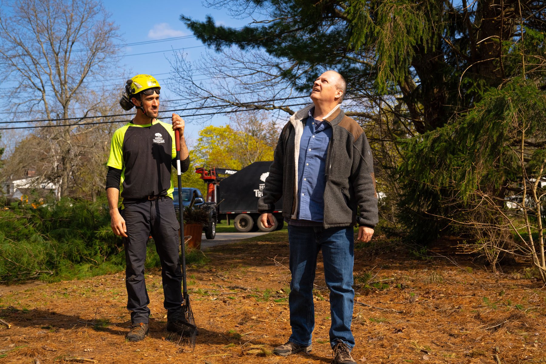 Arborist speaking with customer in yard looking at trees