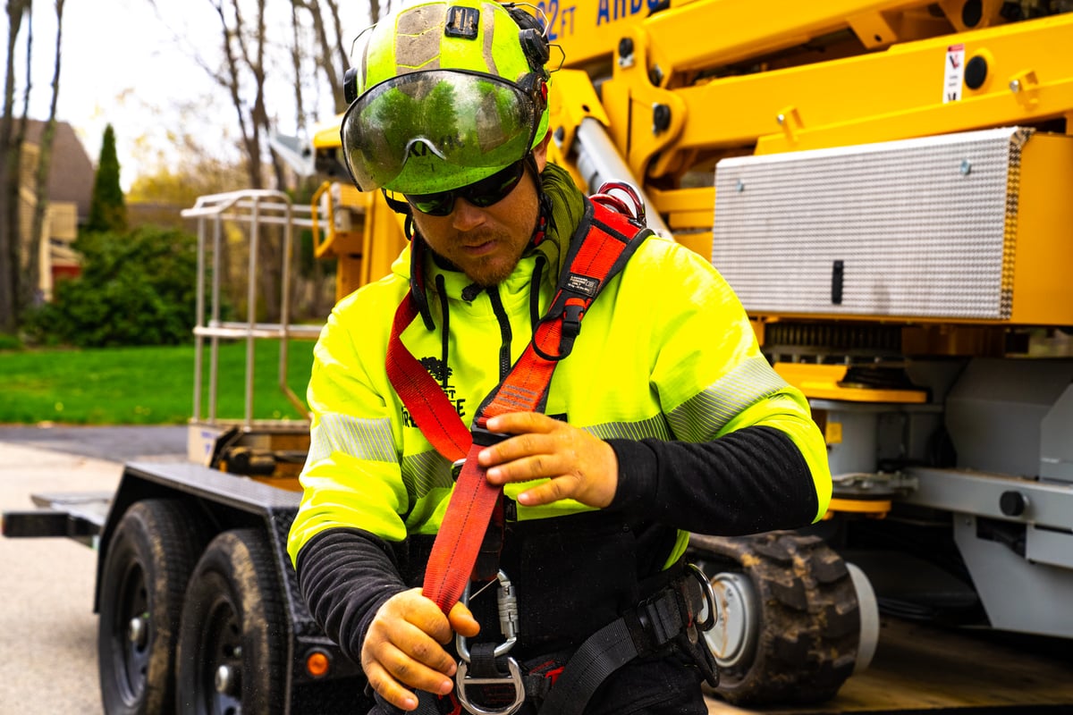 tree care expert adjust safety equipment