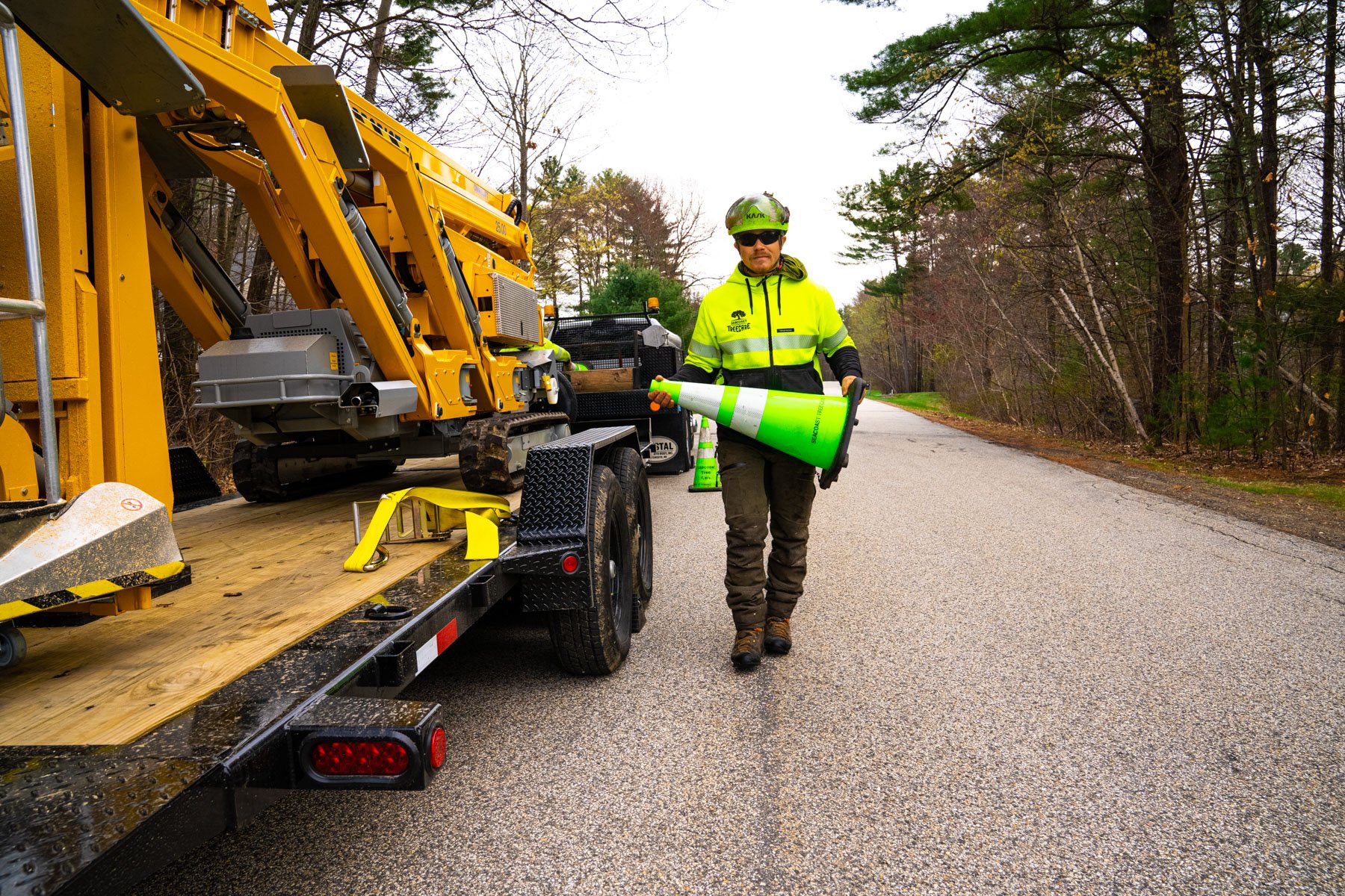 tree crew prepares to remove a tree by setting up safety measures