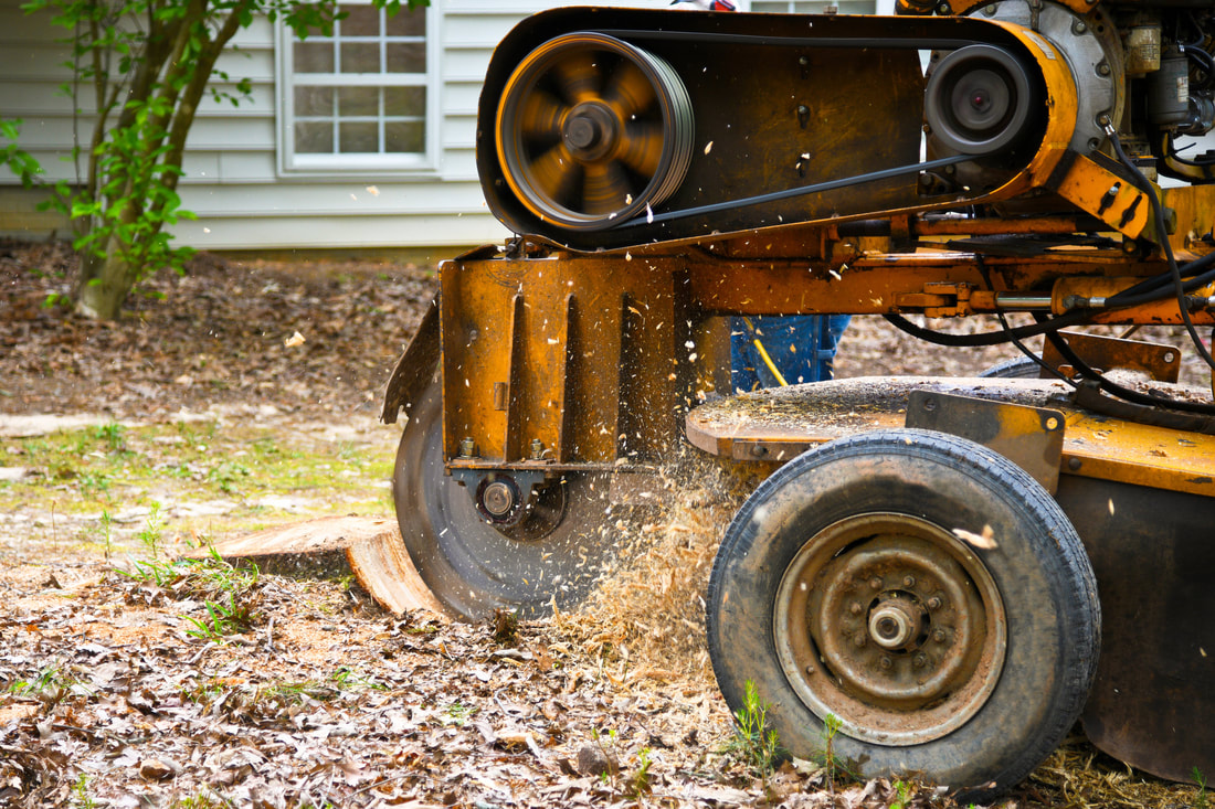 machine grinding a stump down