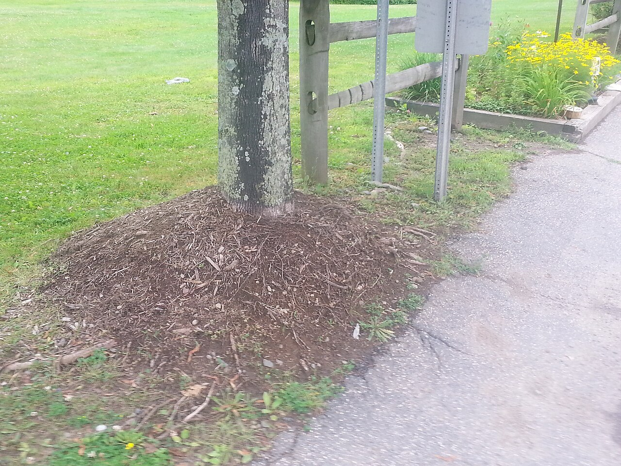 CC - Mulch Volcano