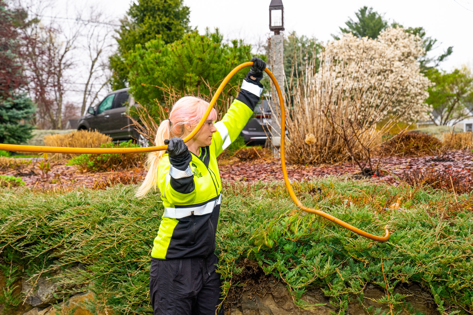 plant health care technician uses hose to perform deep root fertilization