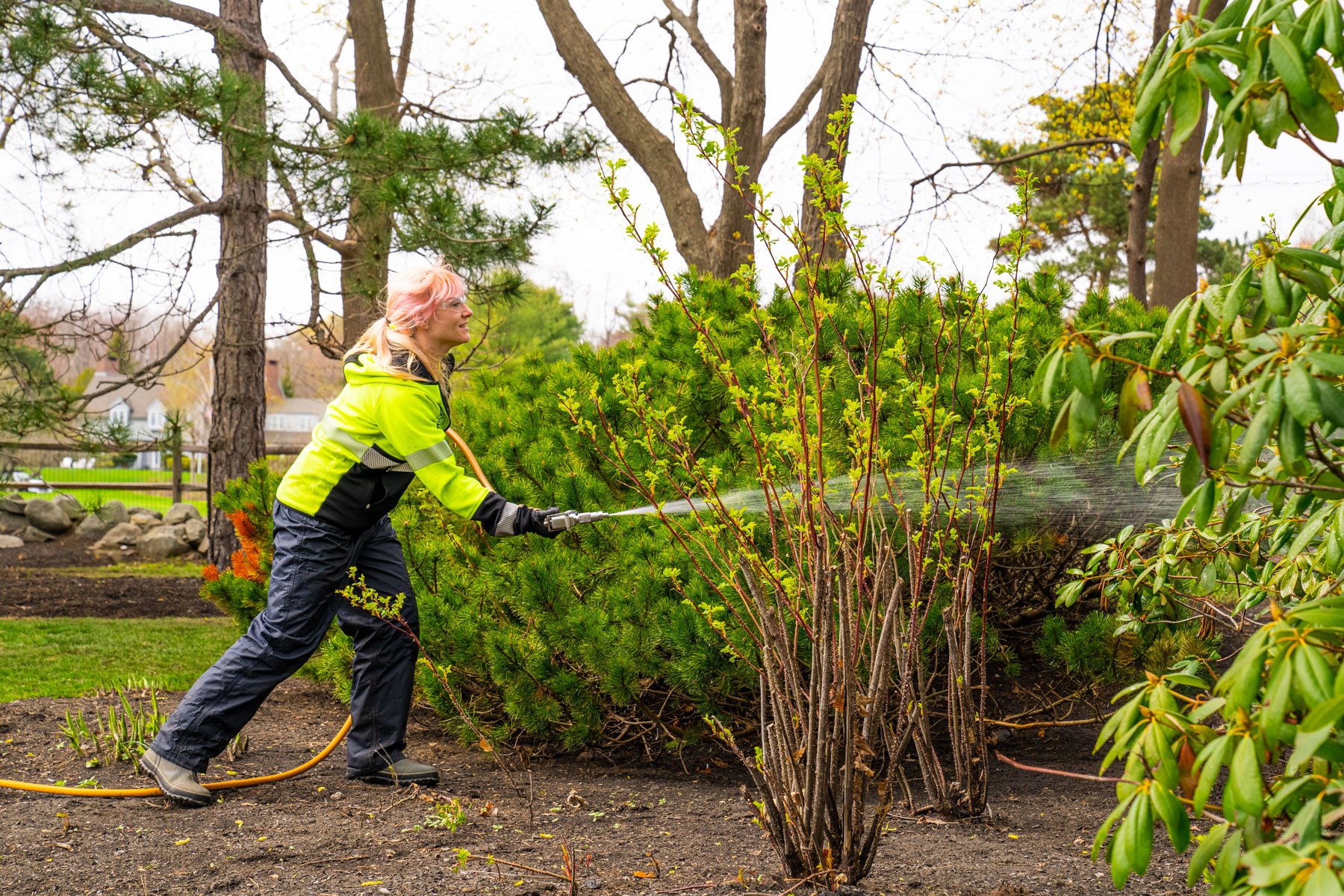 plant health care technician spraying trees