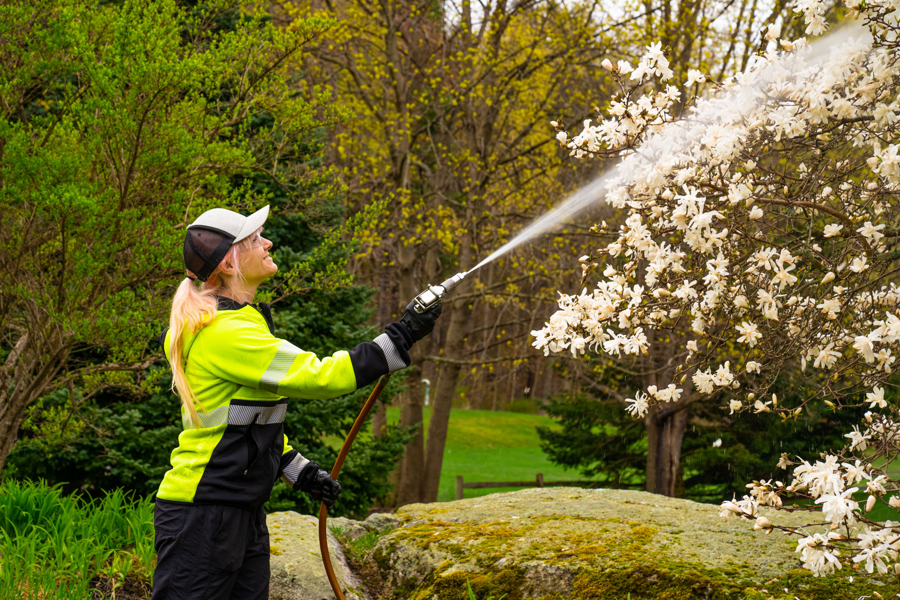 plant health care technician spraying 8