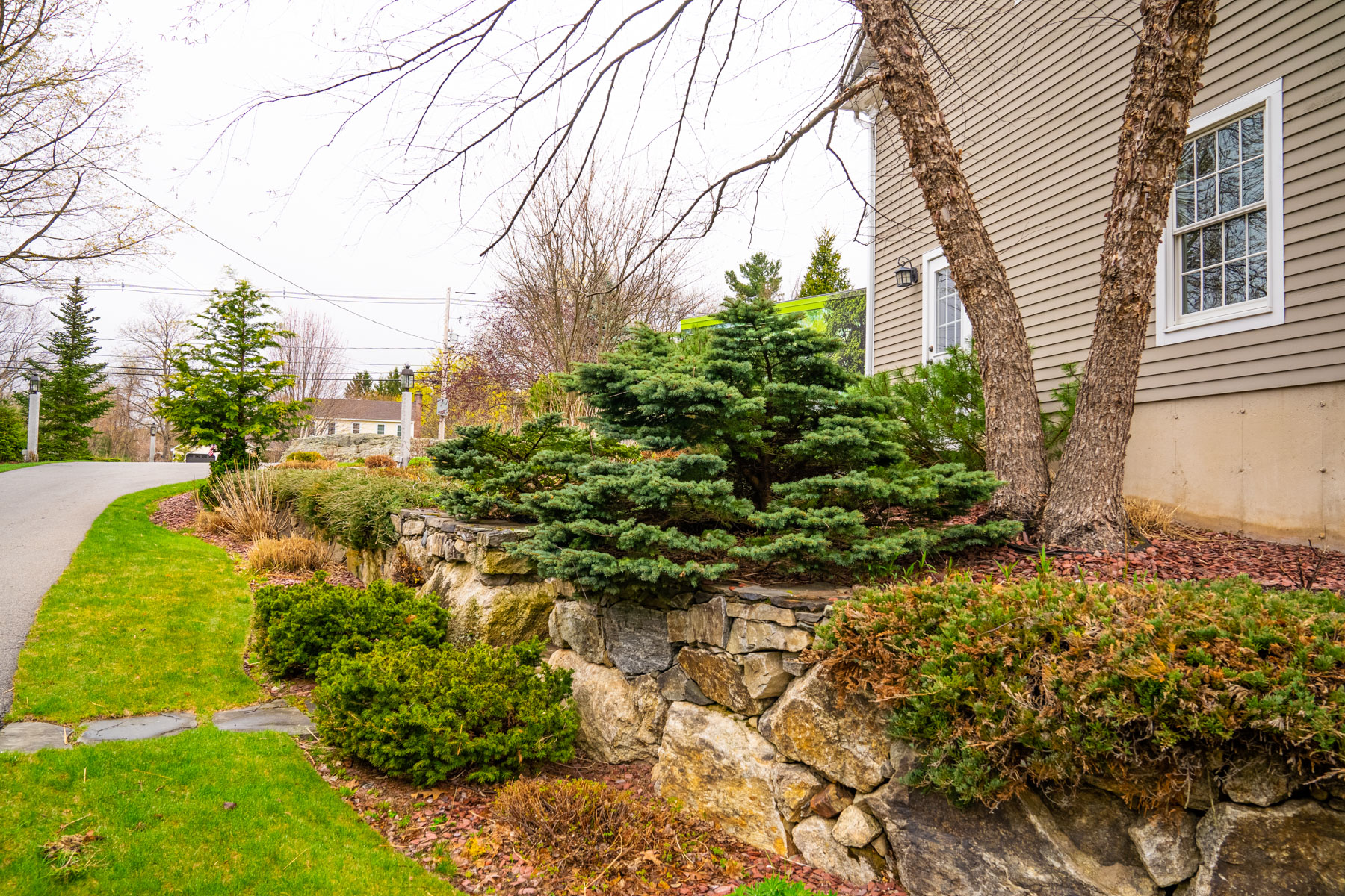 landscape bed with trees and shrubs