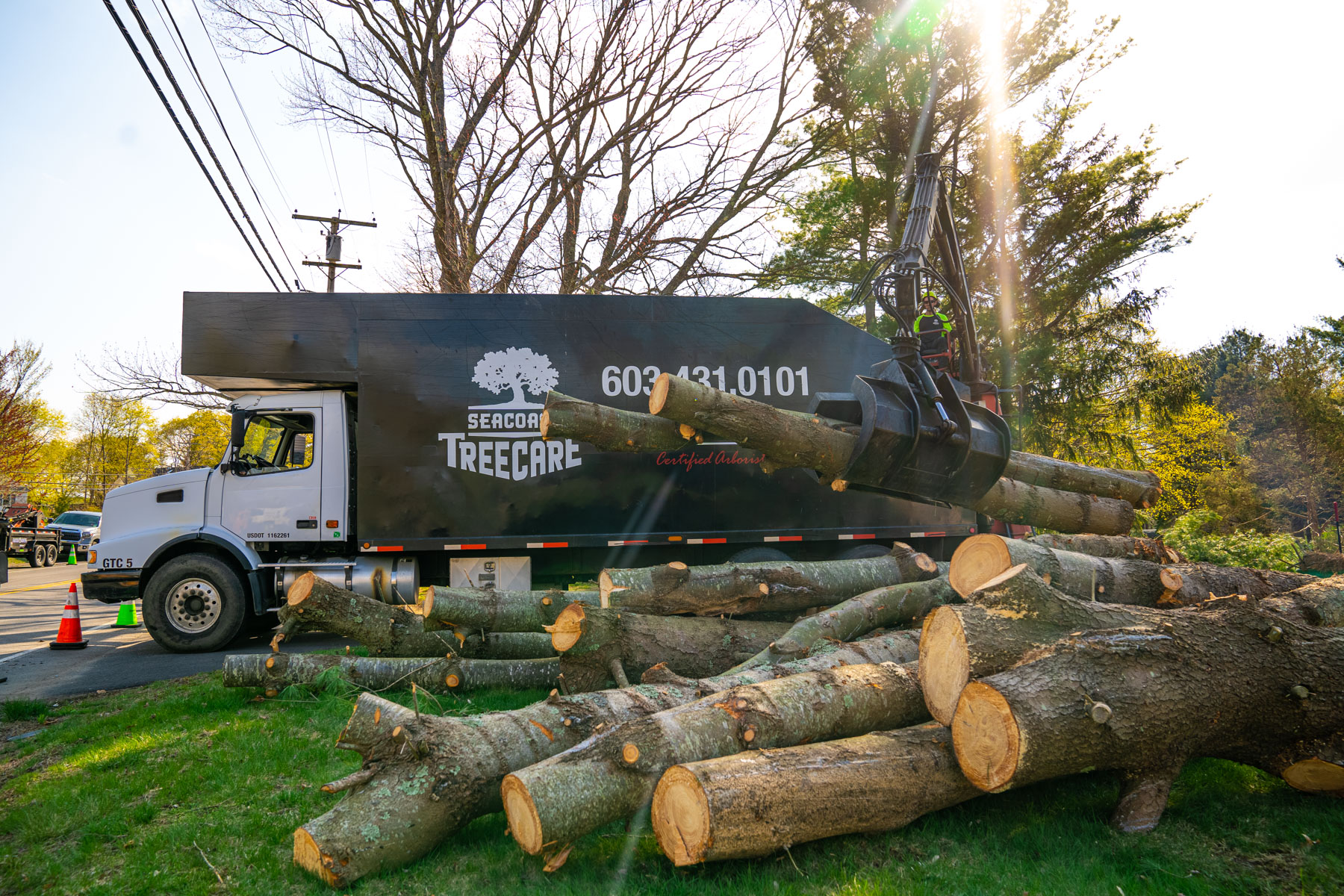 trees being removed from along a property line