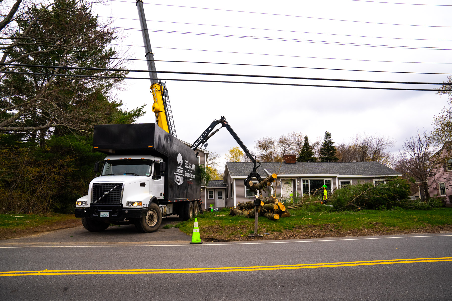 tree removal crew crane 14