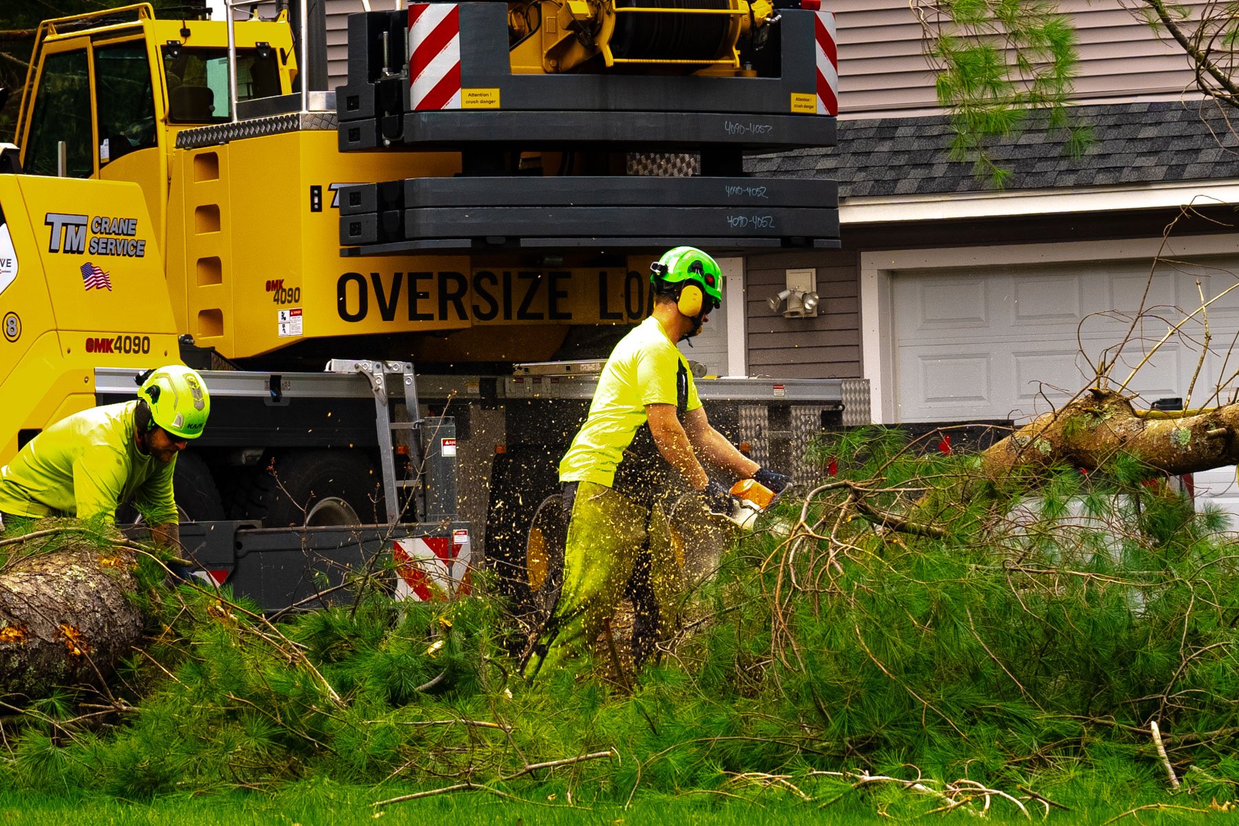 tree removal crew crane 9