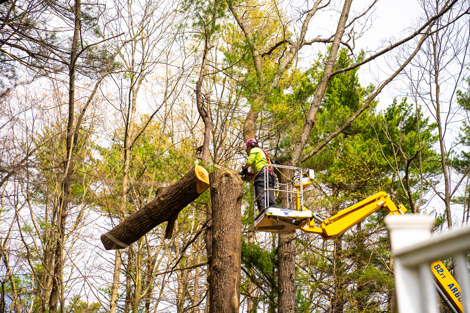 tree removal crew lift chainsaw 13