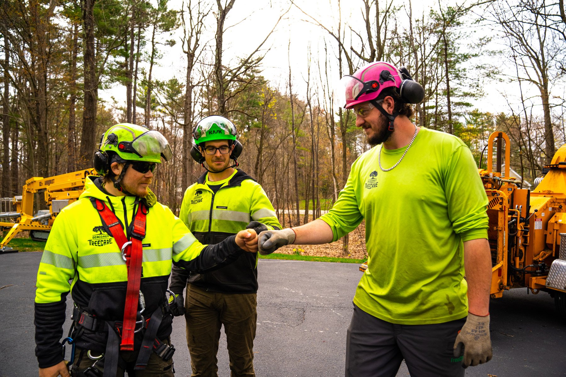 tree service crew bumping fists