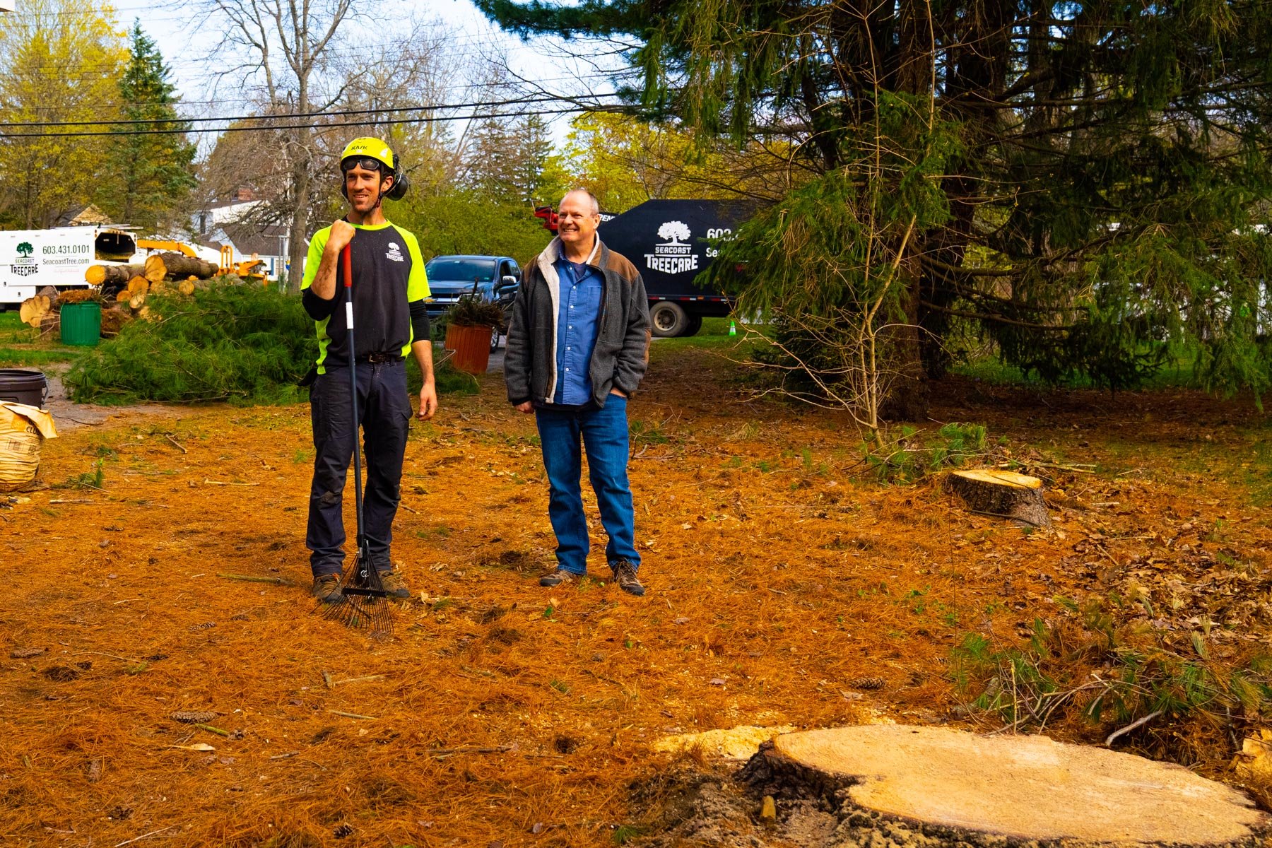 tree care expert and homeowner inspect tree stump