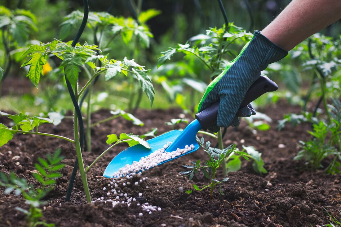 How to Grow Beautiful Trees and Shrubs Using Miracle-Gro® Tree & Shrub  Plant Food Spikes 