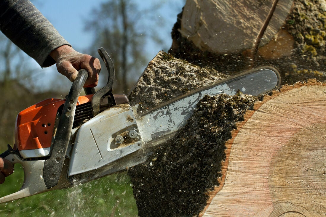 Tool to deals cut small trees