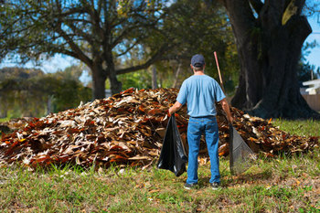 How to Get Rid of Leaves