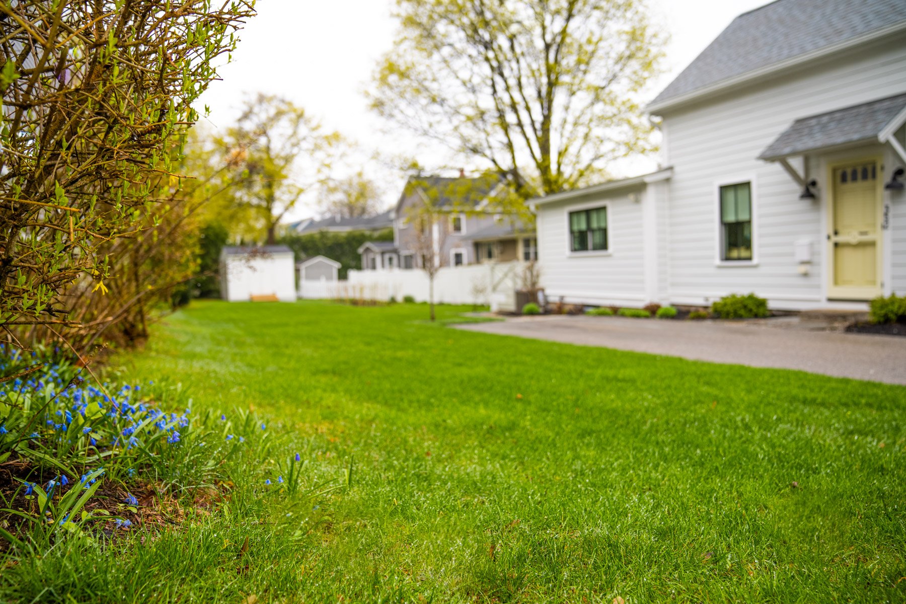 nice grass lawn house 1